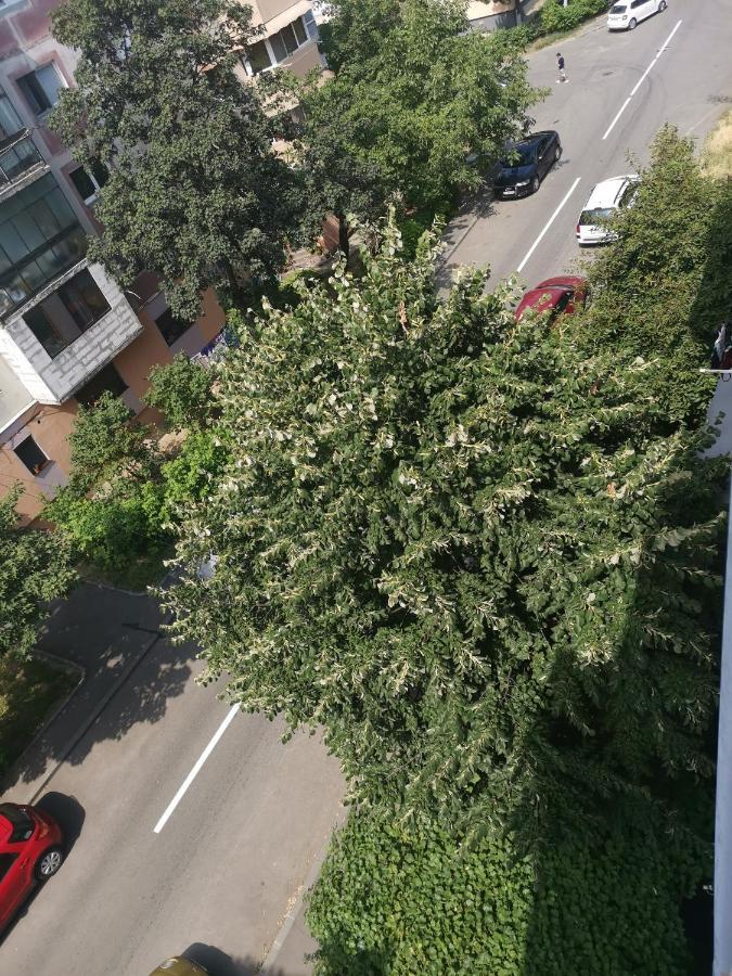 Bloom Box Apartments Craiova Eksteriør billede